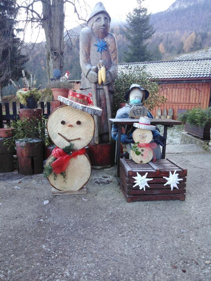 Smucarska Koca Bed & Breakfast Kotlje Bagian luar foto