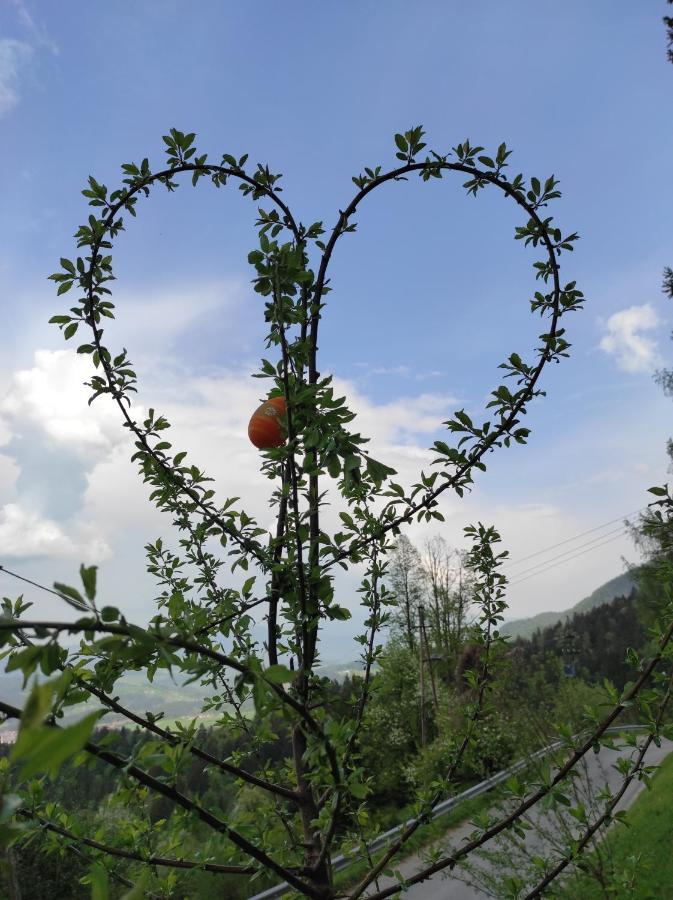 Smucarska Koca Bed & Breakfast Kotlje Bagian luar foto